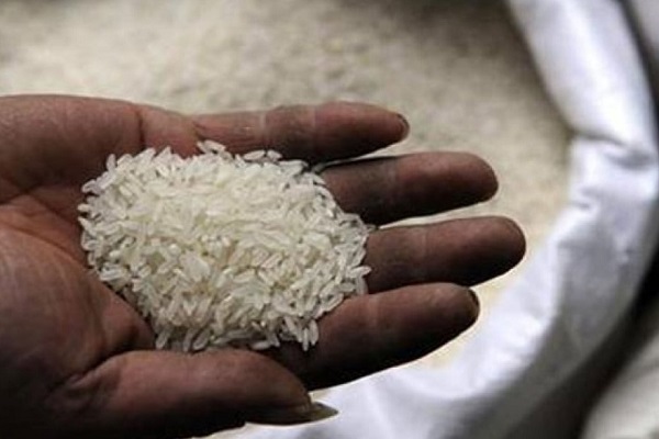  Pakistan rice export to China increases by nearly 10pc