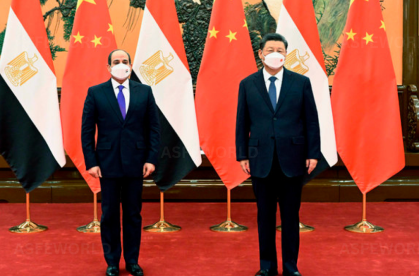  China to Host Arab Leaders, Including Egyptian President, for Cooperation Forum