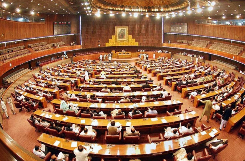 National Assembly Passes Election Act Amendment Bill 2024